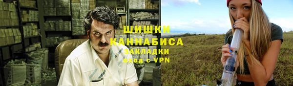 МДПВ Ельня