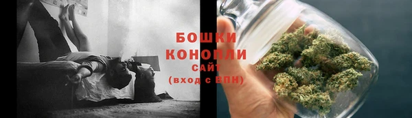 МДПВ Ельня