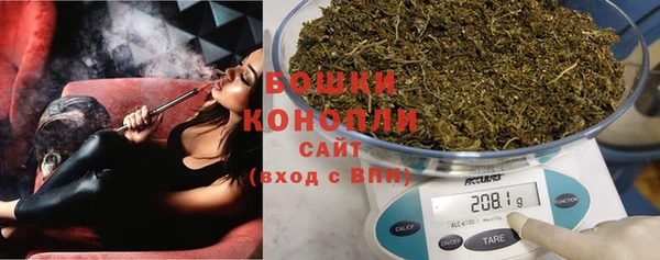 МДПВ Ельня