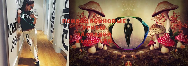 MDMA Premium VHQ Дмитровск