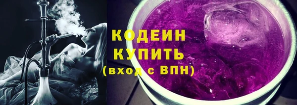 МДПВ Ельня