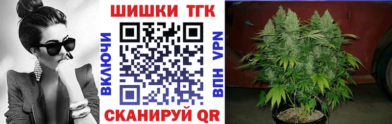 Купить где  Иннополис  Бошки Шишки гибрид 
